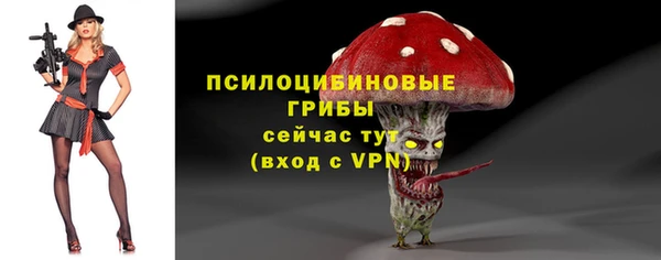 марки nbome Богородицк