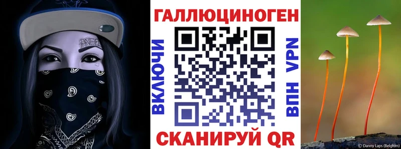 кракен ССЫЛКА  Котлас  Псилоцибиновые грибы мицелий 